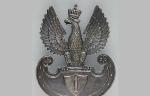 Polskie orły do czapek z lat 1913–1919 w zbiorach MNK