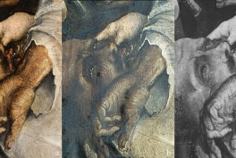 Conservation Studies of the Polyptych of Lusina
