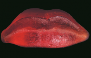 Ślady zapisane w formie - warsztaty rzeźbiarskie