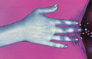 OPROWADZANIA kuratorskie SBB