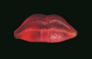 Szapocznikow. Osobista | Oprowadzanie kuratorskie