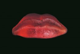 Poranek w muzeum. Oprowadzania dla osób w wieku 60+ | Szapocznikow. Osobista