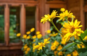 Opening hours during the long weekend
