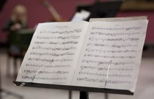 Koncert w MNK Ciołek