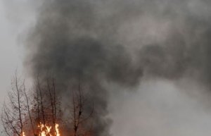 Polska. Piotr Uklański - oprowadzanie kuratorskie