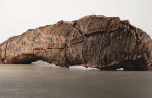 URSULA VON RYDINGSVÄRD, Tylko sztuka – oprowadzanie kuratorskie: Eulalia Domanowska