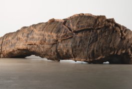 Sztuka krajobrazu. Ursula von Rydingsvard, Magdalena Abakanowicz 