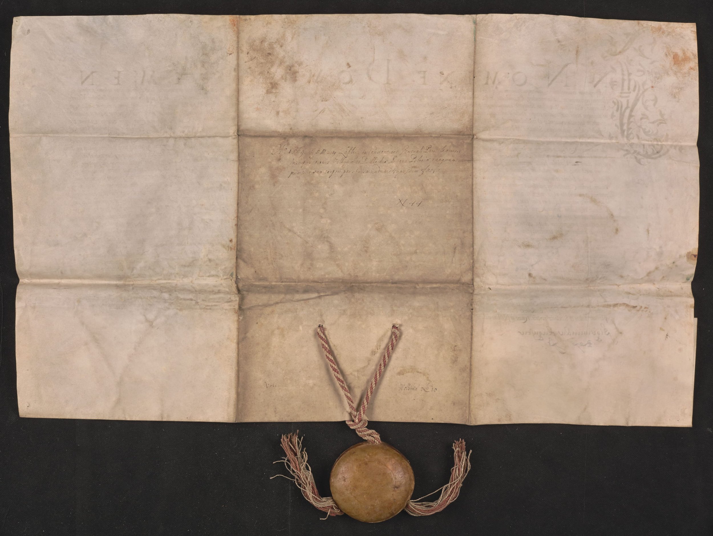 Zygmunt II August – władca i bibliofil