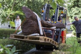 Abakanowicz w ogrodzie MNK  - montaż rzeźb