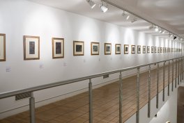 Galeria Żywa – przestrzeń wystawy