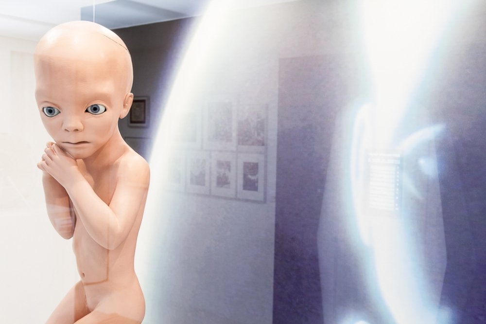 Aranżacja wystawy "Stanley Kubrick"