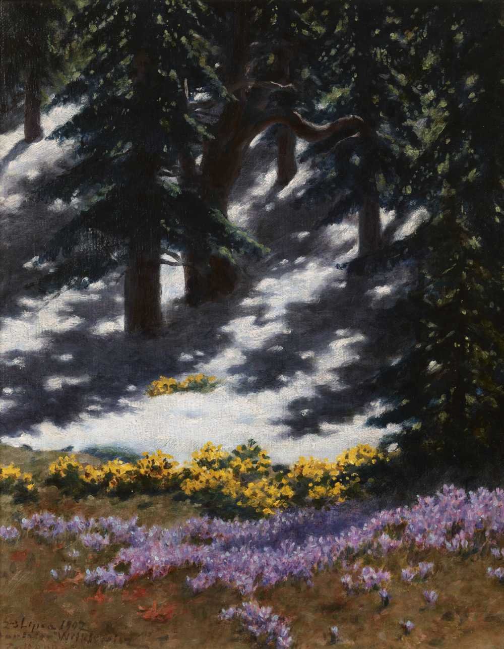 Tatrzańskie pejzaże Stanisława Witkiewicza i Walerego Eljasza-Radzikowskiego