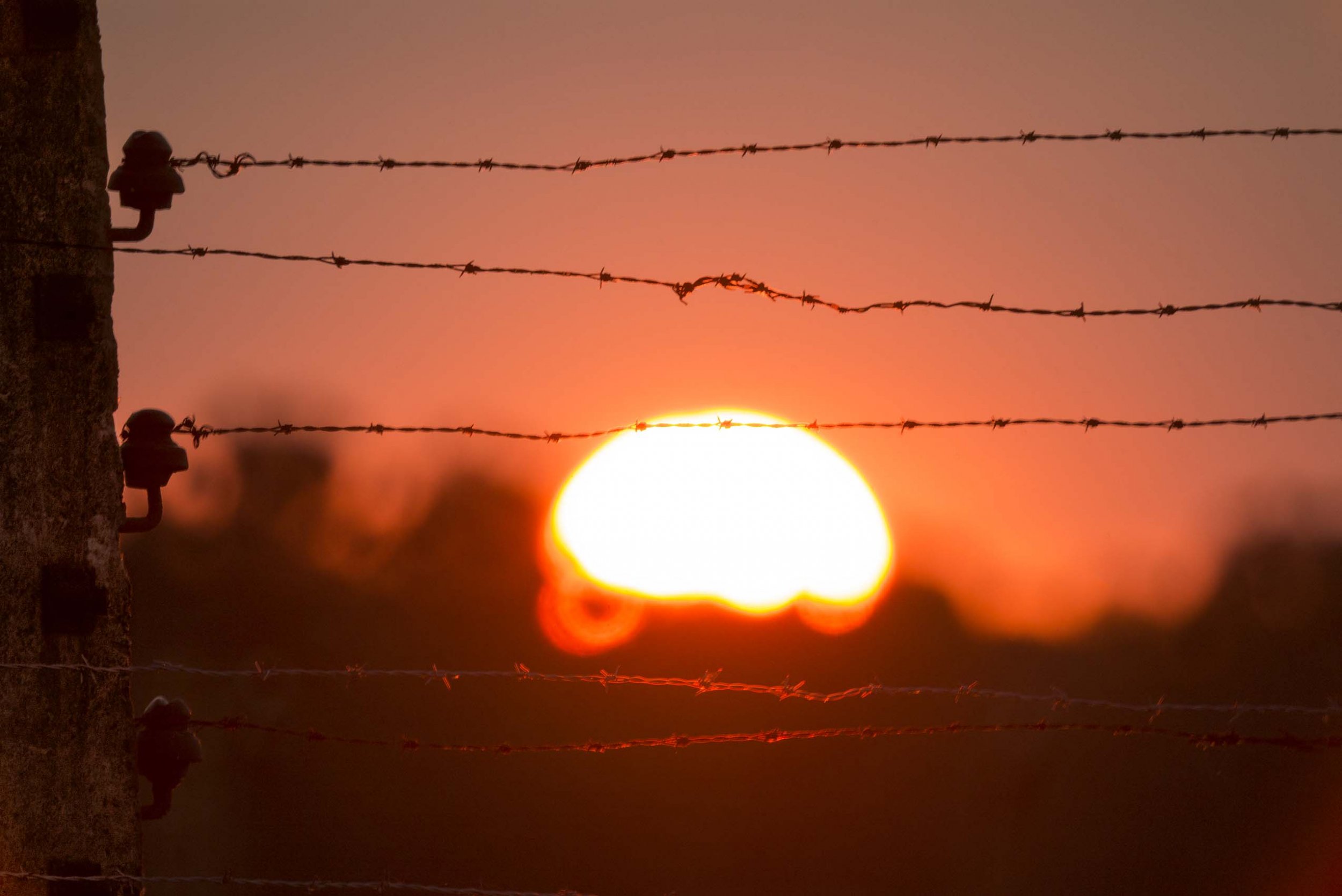 Poziome druty kolczaste na pierwszym planie przebiegające przez obraz, po lewej słup z izolatorami, w tle nisko znajdujące się intensywnie pomarańczowo-białe słońce nad rozmytą linią ciemnych drzew i pomarańczowym niebem.
