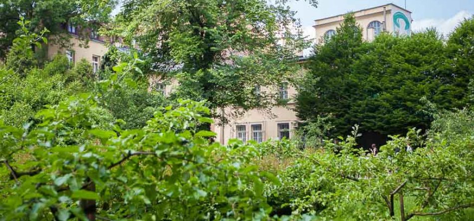 Na pierwszym planie gęsta zielona roślinność z krzewami i gałęziami, w tle częściowo zasłonięty jasnobeżowy wielokondygnacyjny budynek z licznymi oknami i wieżą z turkusowym półokrągłym motywem, po prawej pod koronami drzew widoczne drobne, niewyraźne sylwetki ludzi.