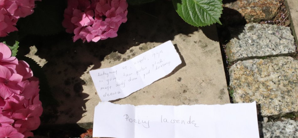 Dwa porwane kawałki białego papieru z odręcznym pismem leżą na jasnym kamiennym bloku obok różowych kwiatów hortensji po lewej i szarych kostek granitowych po prawej, w świetle słonecznym.
